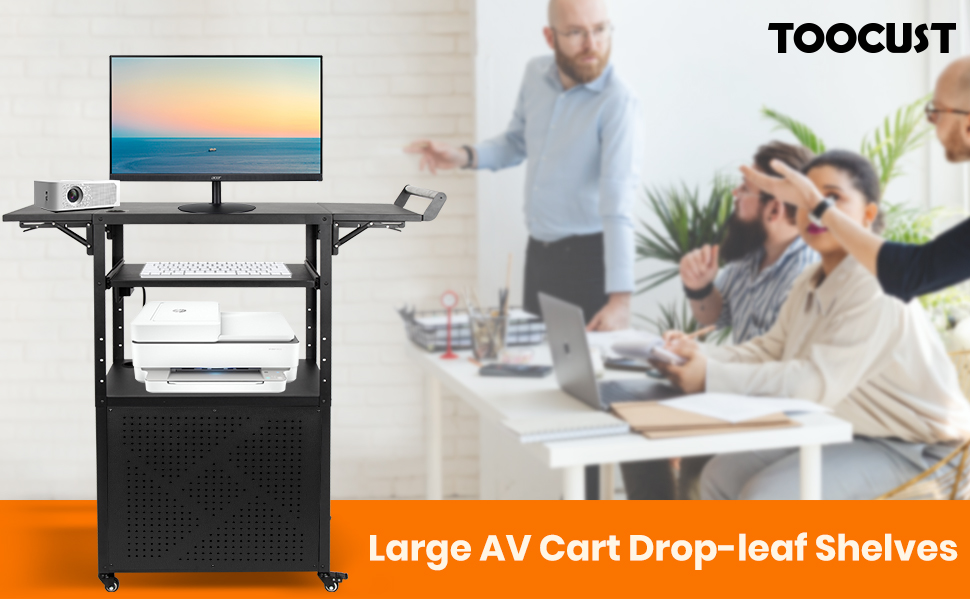 AV Cart
