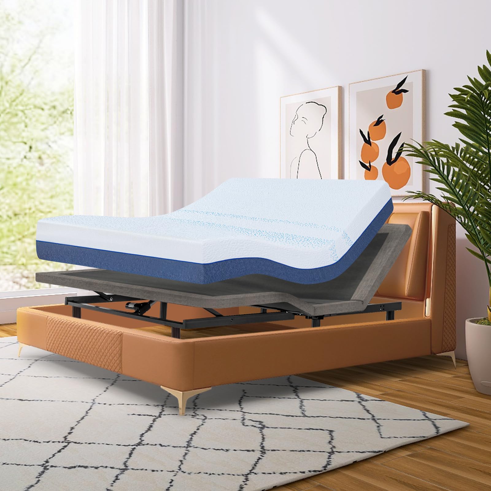 Adjustable Bed Base - Twin XL 12 inch Medium Firm