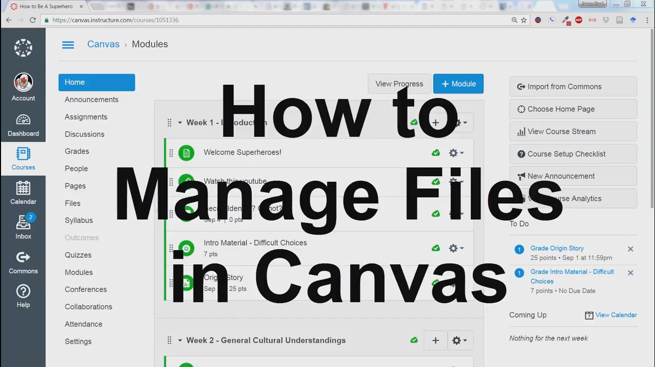 Canvas File