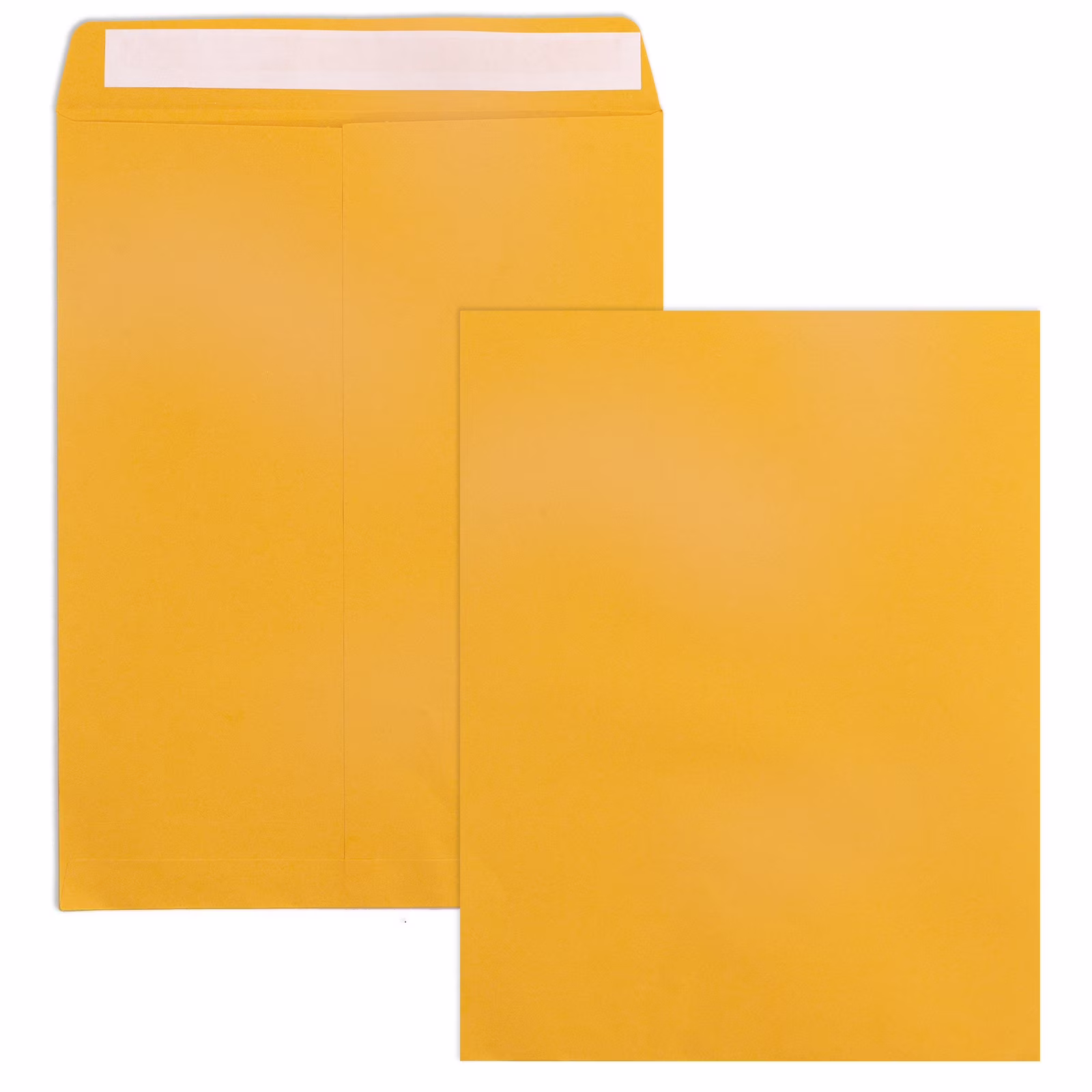 Catalog Envelope