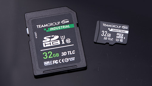 Champion SD Card