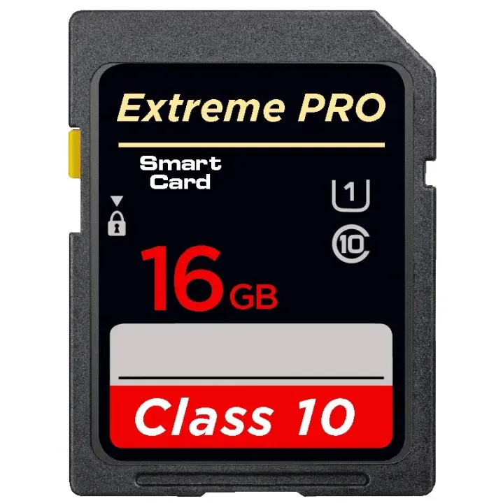 Champion SD Card