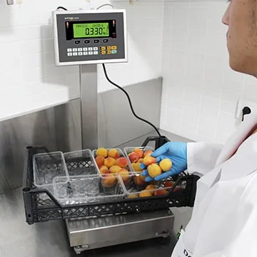 Counting Scale Packaging