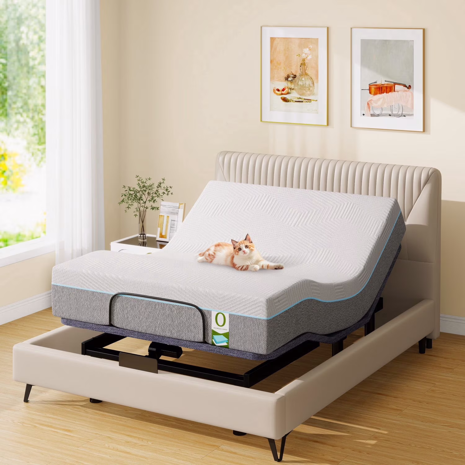 Electric Adjustable Bed - Queen 12 inch Firm Support