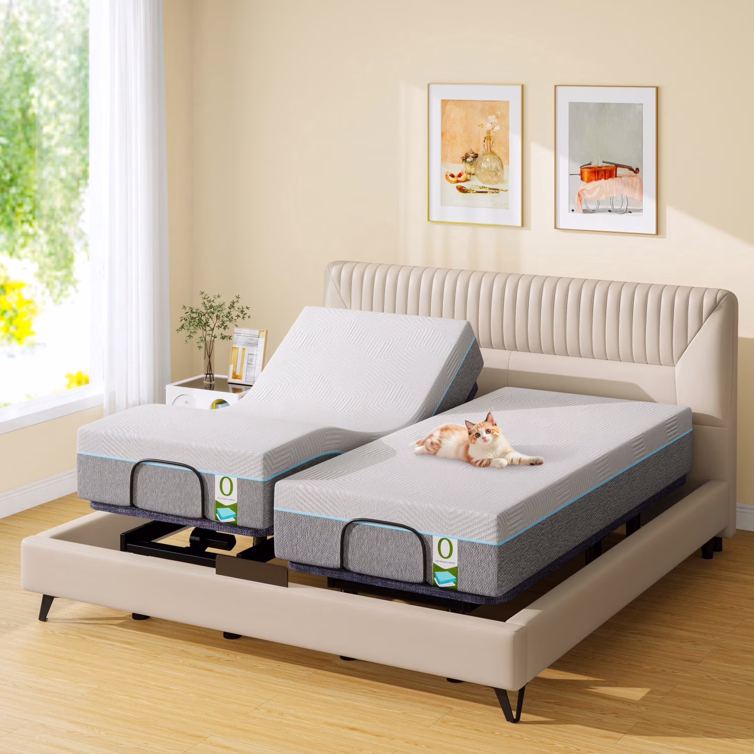 Electric Adjustable Bed - Super King 12 inch Hypoallergenic