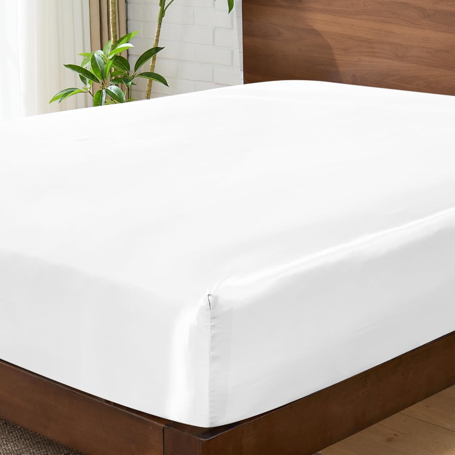 Fitted Sheet - Queen - Elastic - White