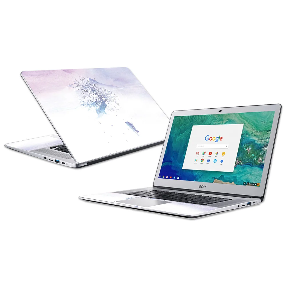 Fujifilm Chromebook