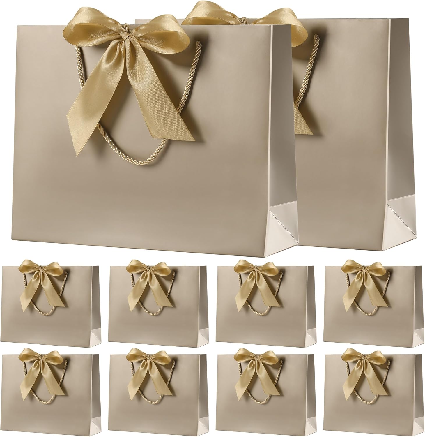 Gift Bag - Large - 10 Pack
