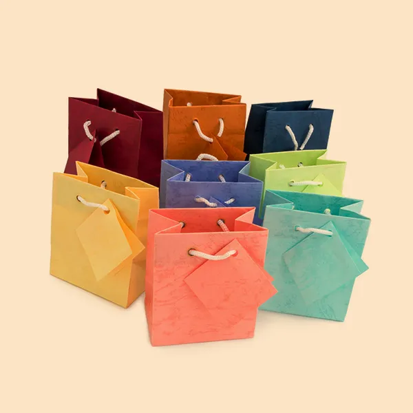 Gift Bag - Small - 10 Pack
