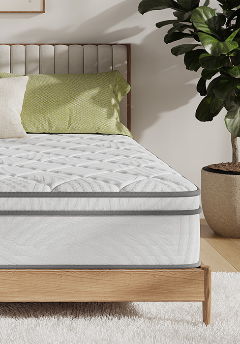 Hybrid Mattress - Twin XL 8 inch Plush