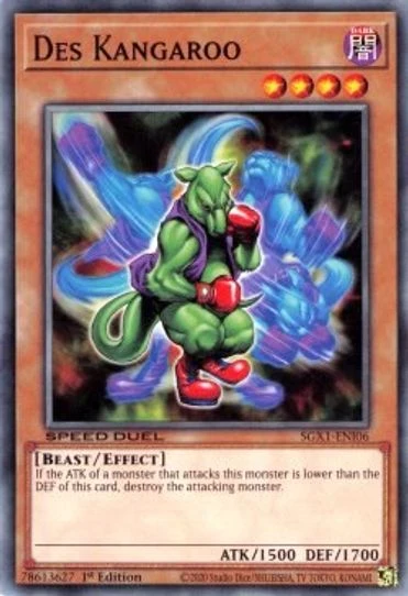 Kangaro XD Card