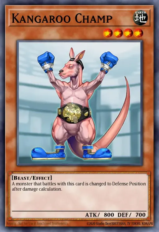 Kangaro XD Card