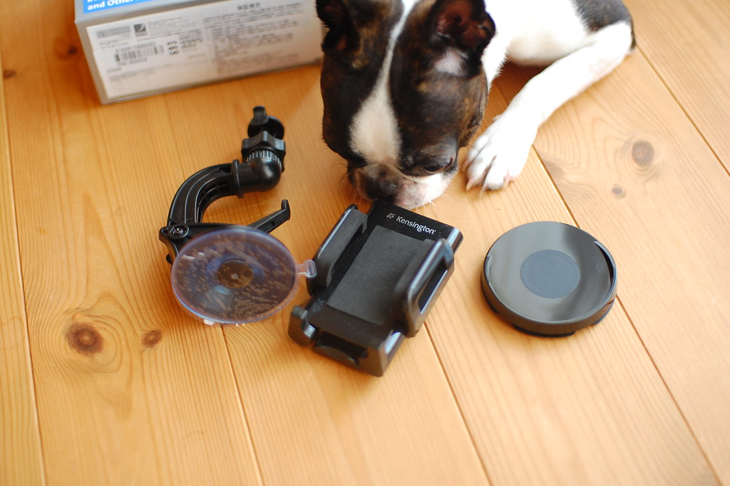 Kingston Dash Mount