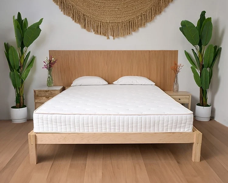 Latex Mattress - Double 14 inch Medium Firm