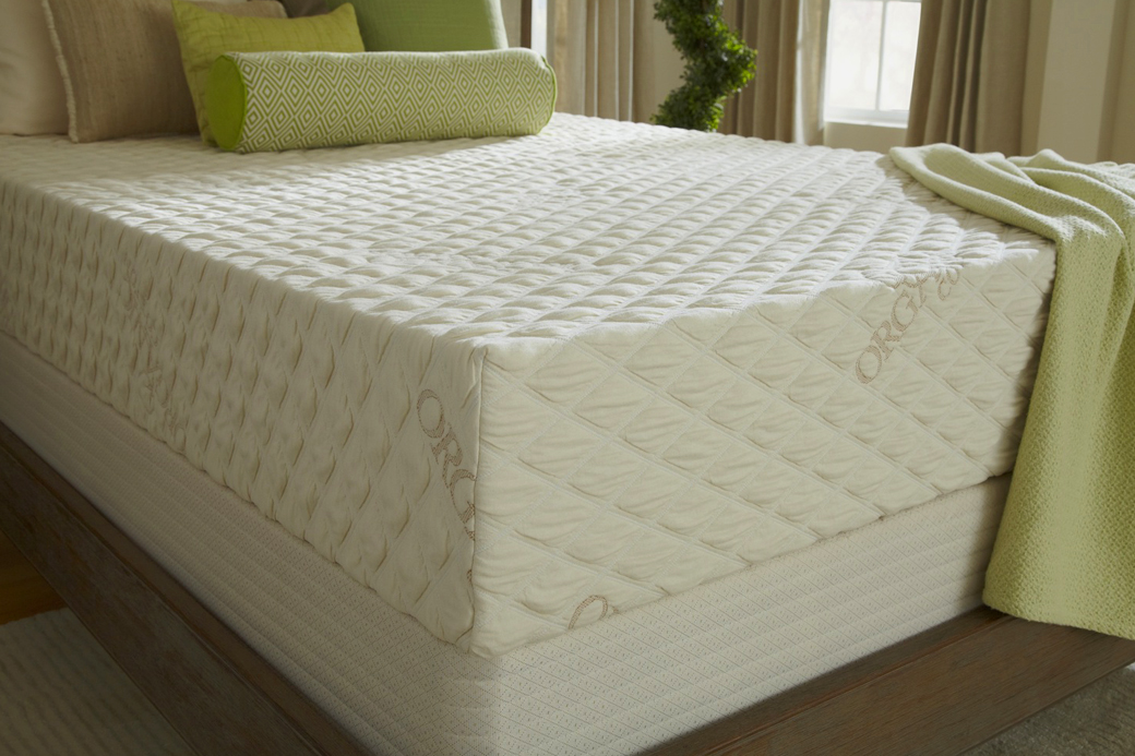 Latex Mattress - Queen 6 inch Plush