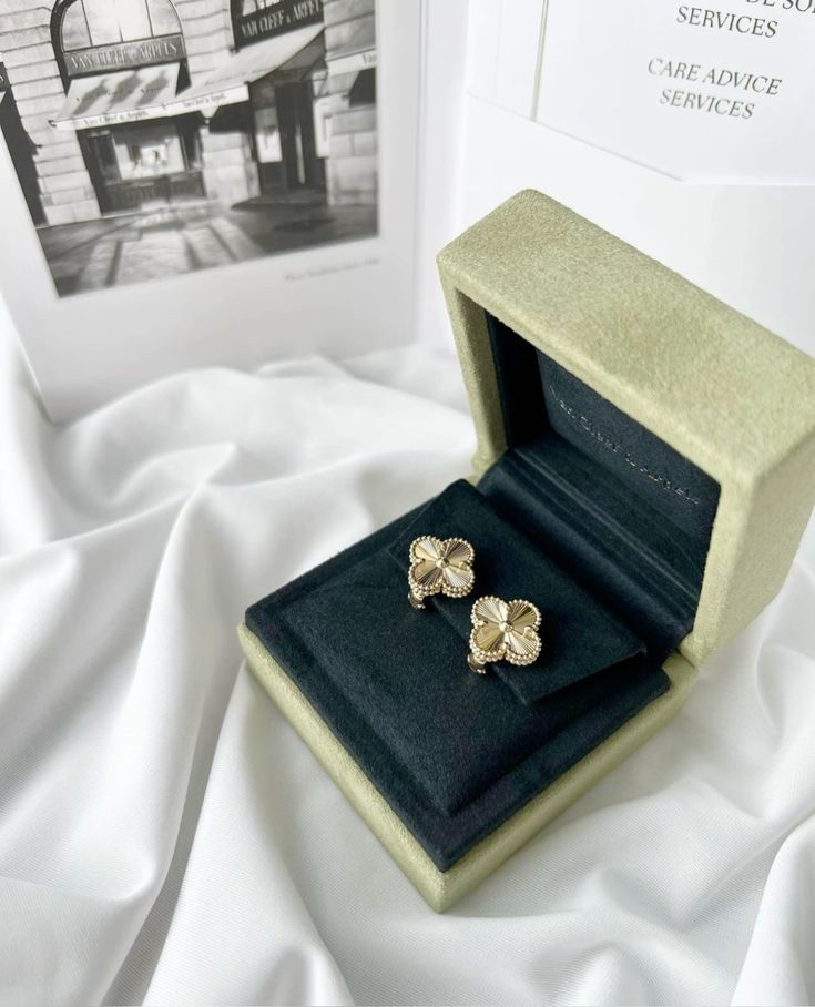 Luxury Earrings