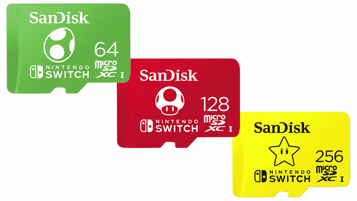 Nintendo MicroSD
