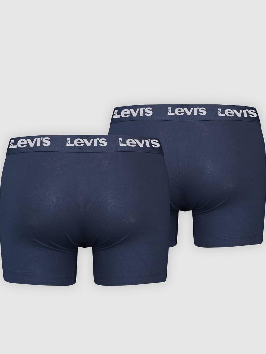 Briefs
