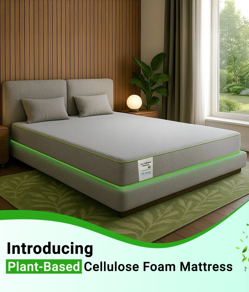 Orthopedic Mattress - Full 10 inch Eco-friendly