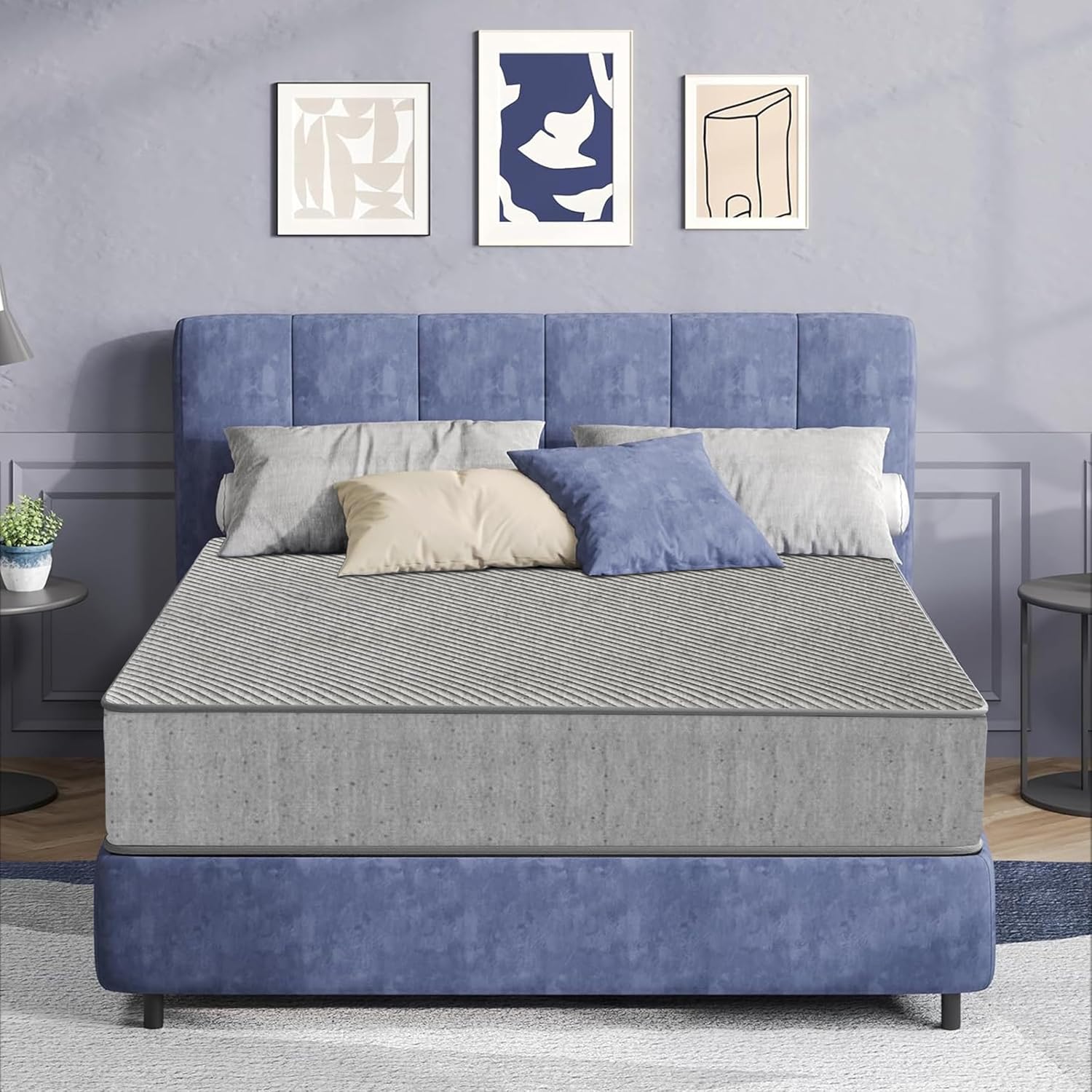 Orthopedic Mattress - King 6 inch Plush