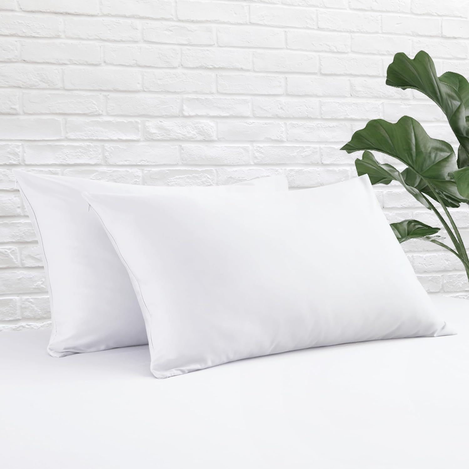 Pillow Protector - Standard - Cotton - White