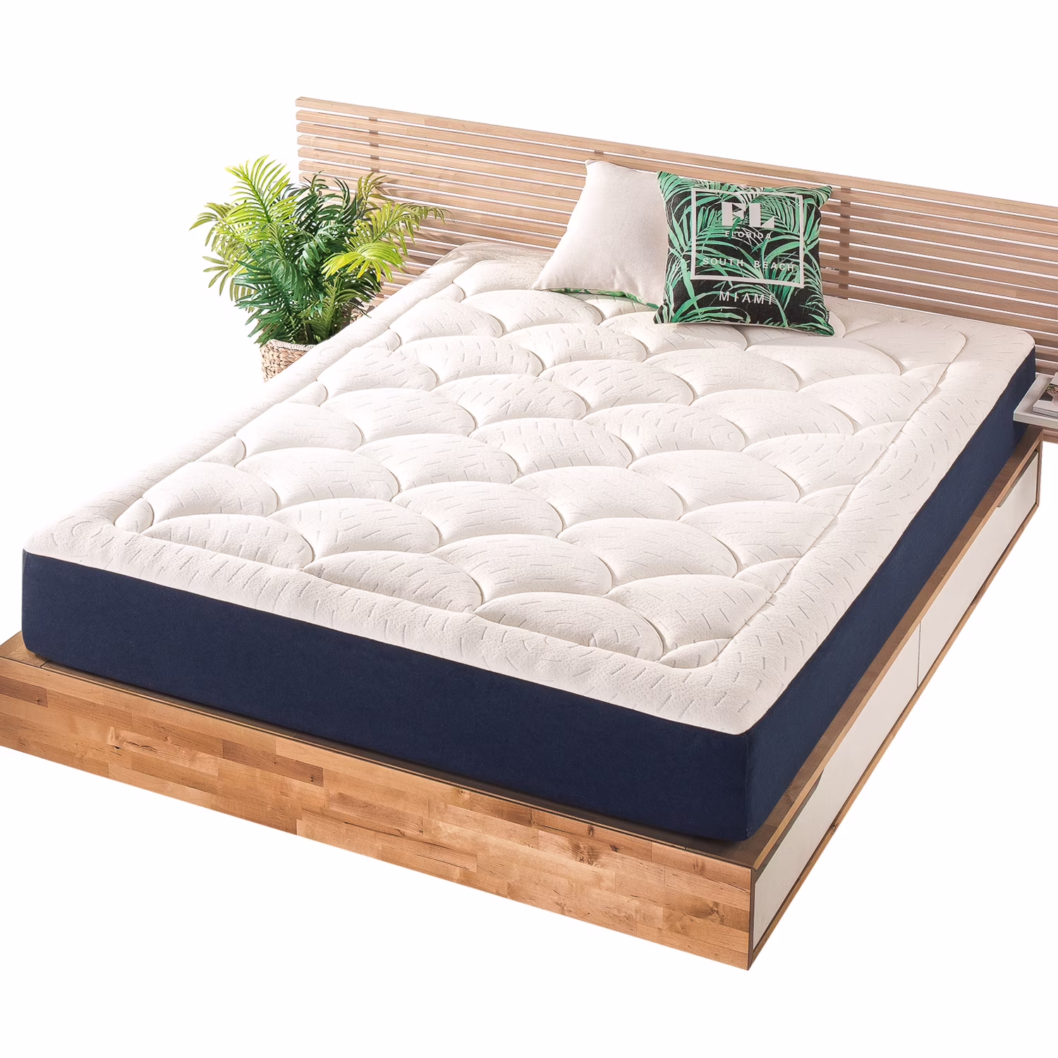 Pillow Top Mattress - Queen 10 inch Plush