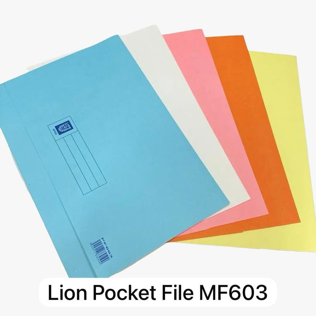 Pocket File