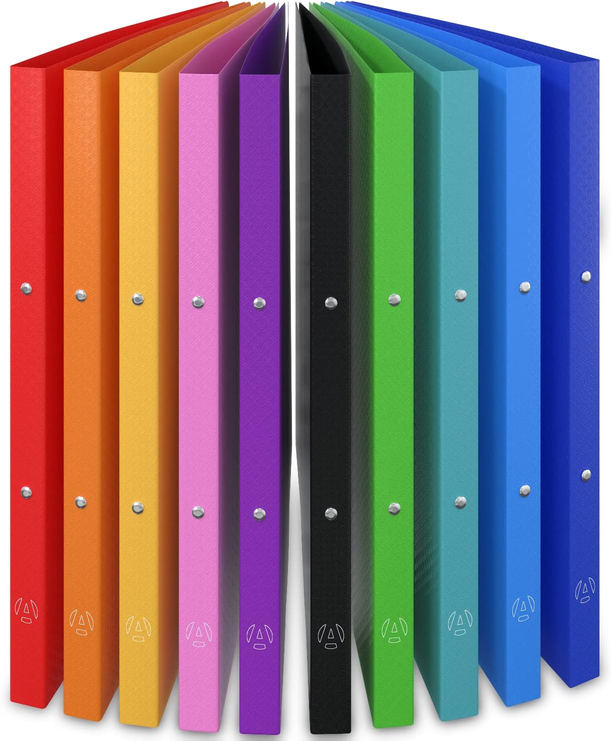 Ring Binder File