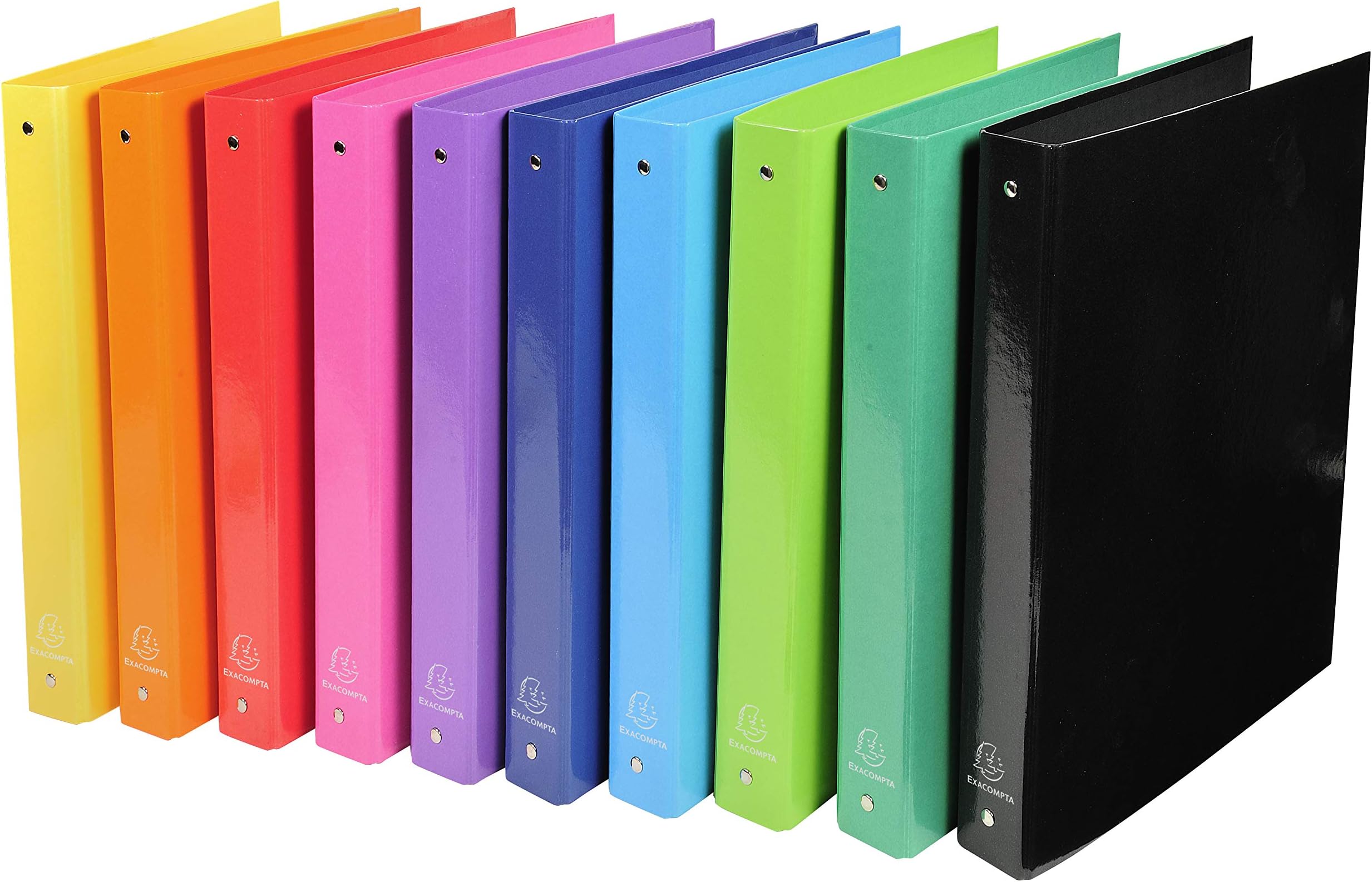 Ring Binder File