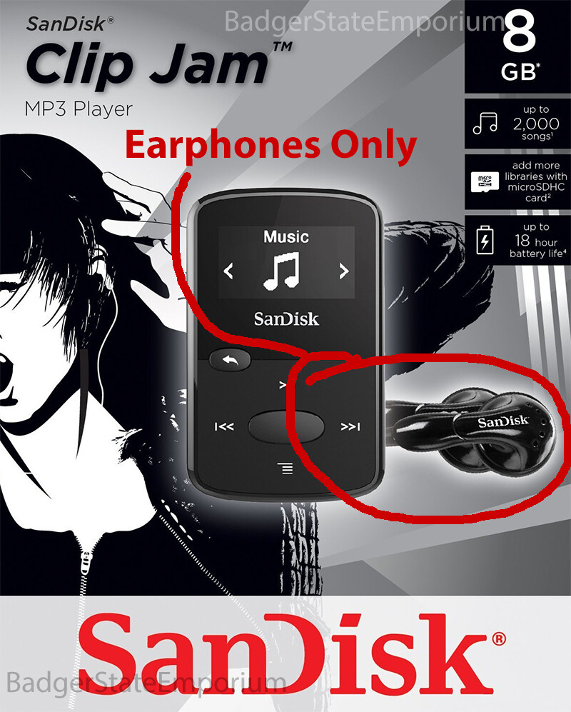 SanDisk Wireless Headphones