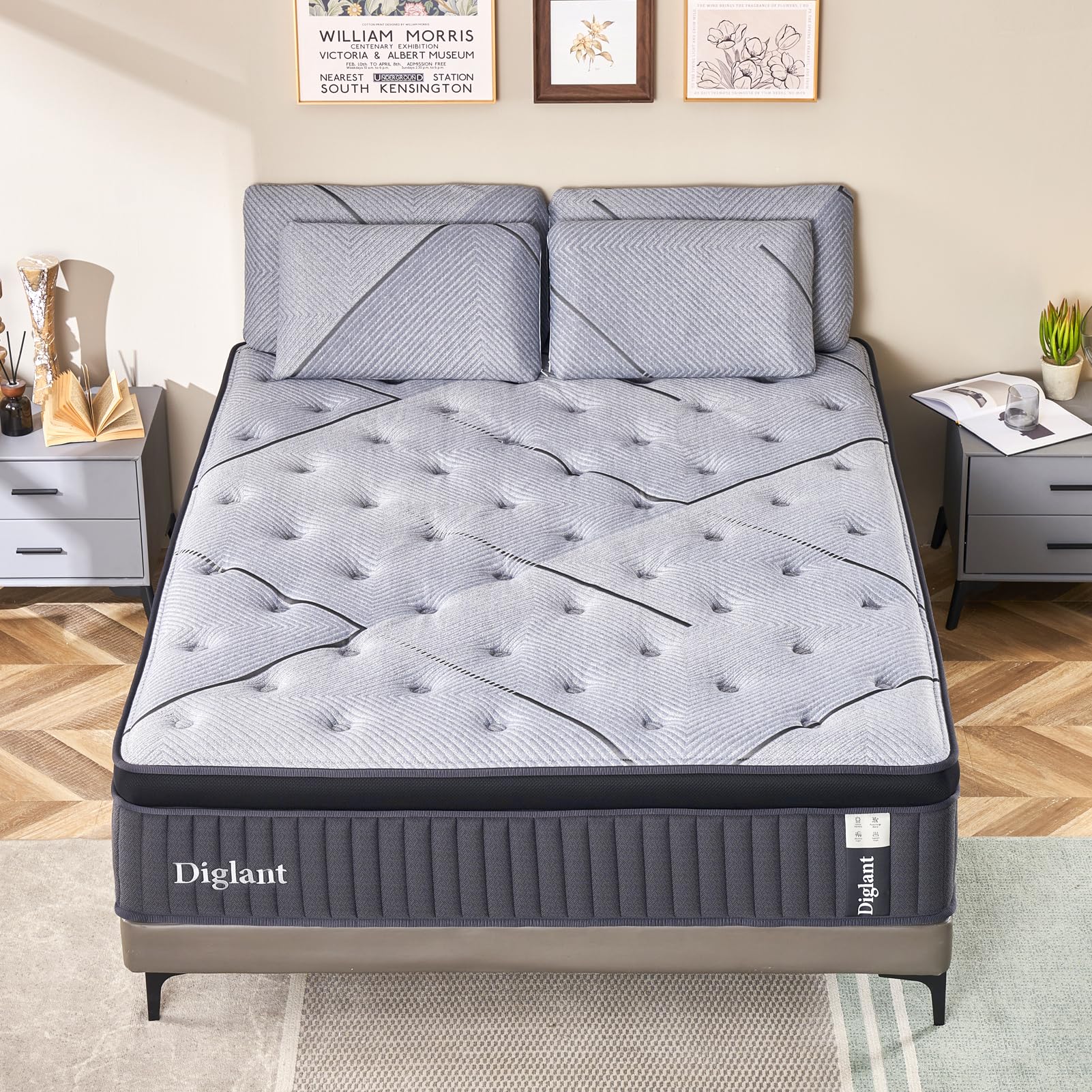 Spring Mattress - Queen 14 inch Plush