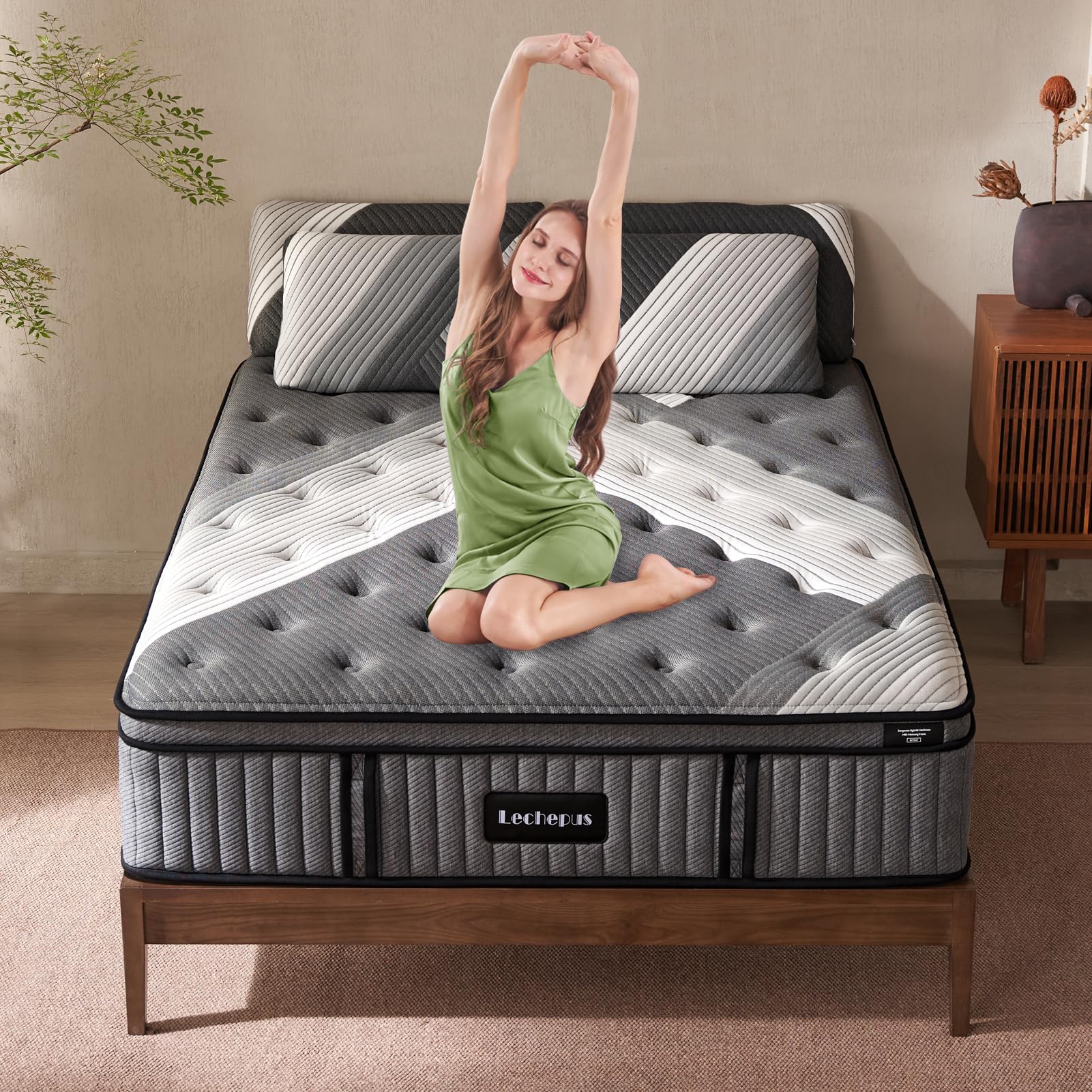 Spring Mattress - Queen 14 inch Plush