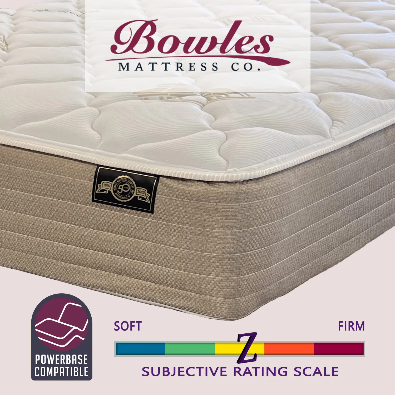 Spring Mattress - Twin XL 8 inch Plush