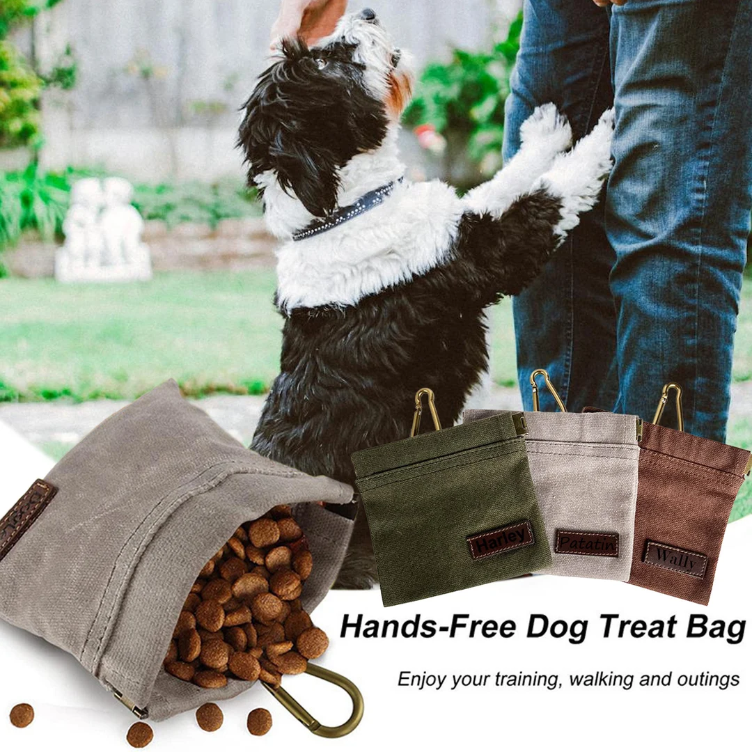 Treat Bag