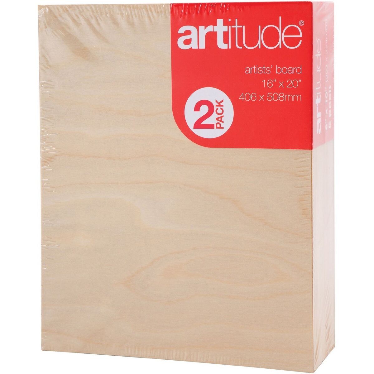 Canvas Board - 16x20 inch - 2 Pack