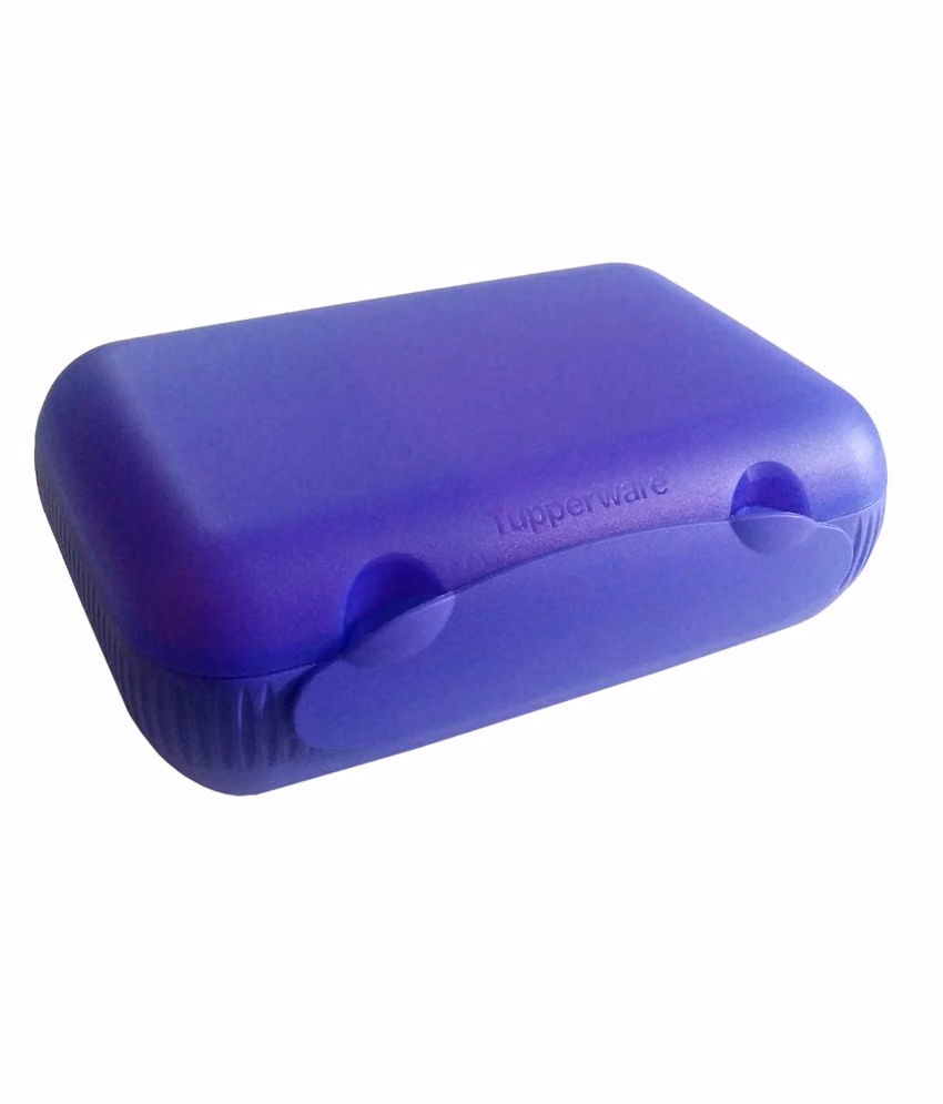 Lunch Box - Plastic - Purple