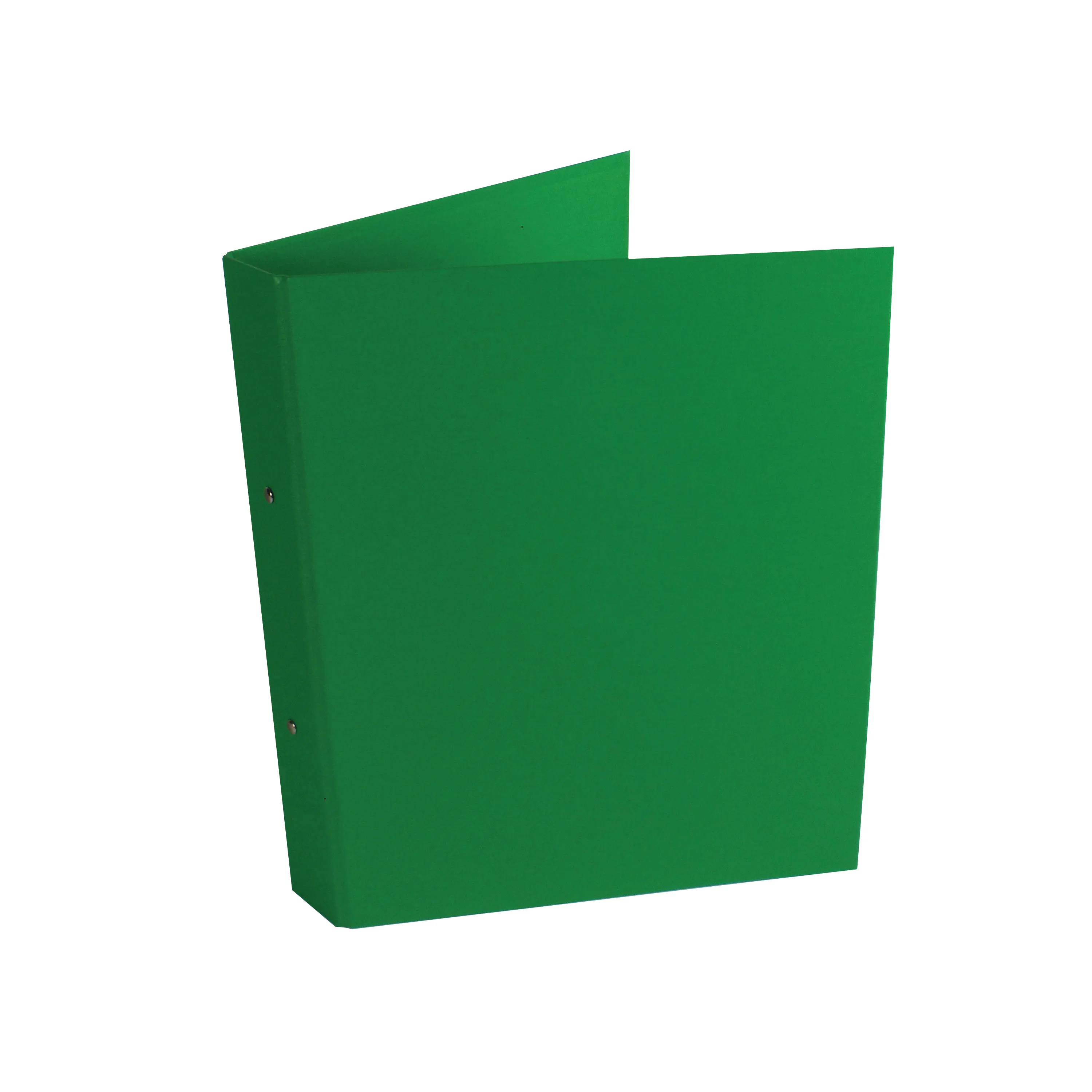 Ring Binder - 25mm - A4 - Green