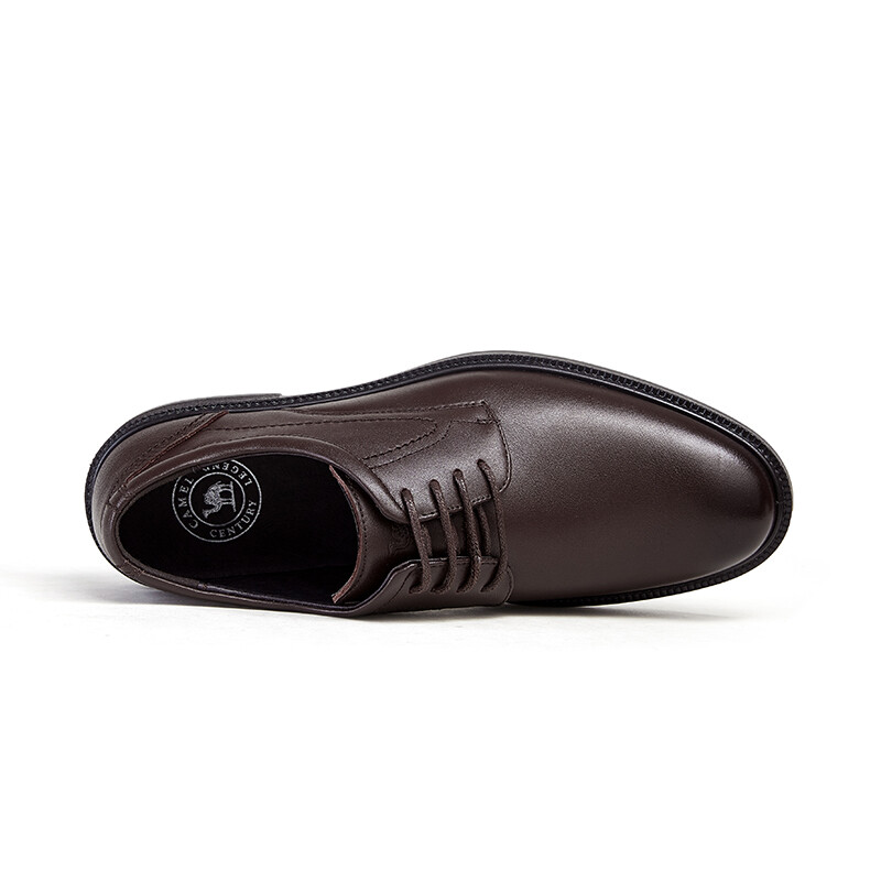 Sharp Camel Dress Shoes