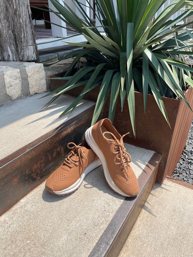 Street Camel Sneakers