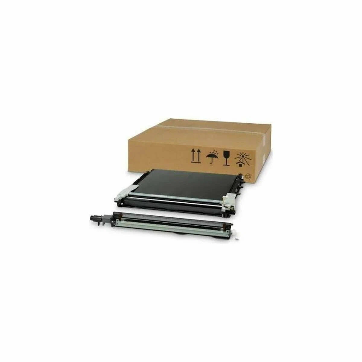 Transfer Belt - HP