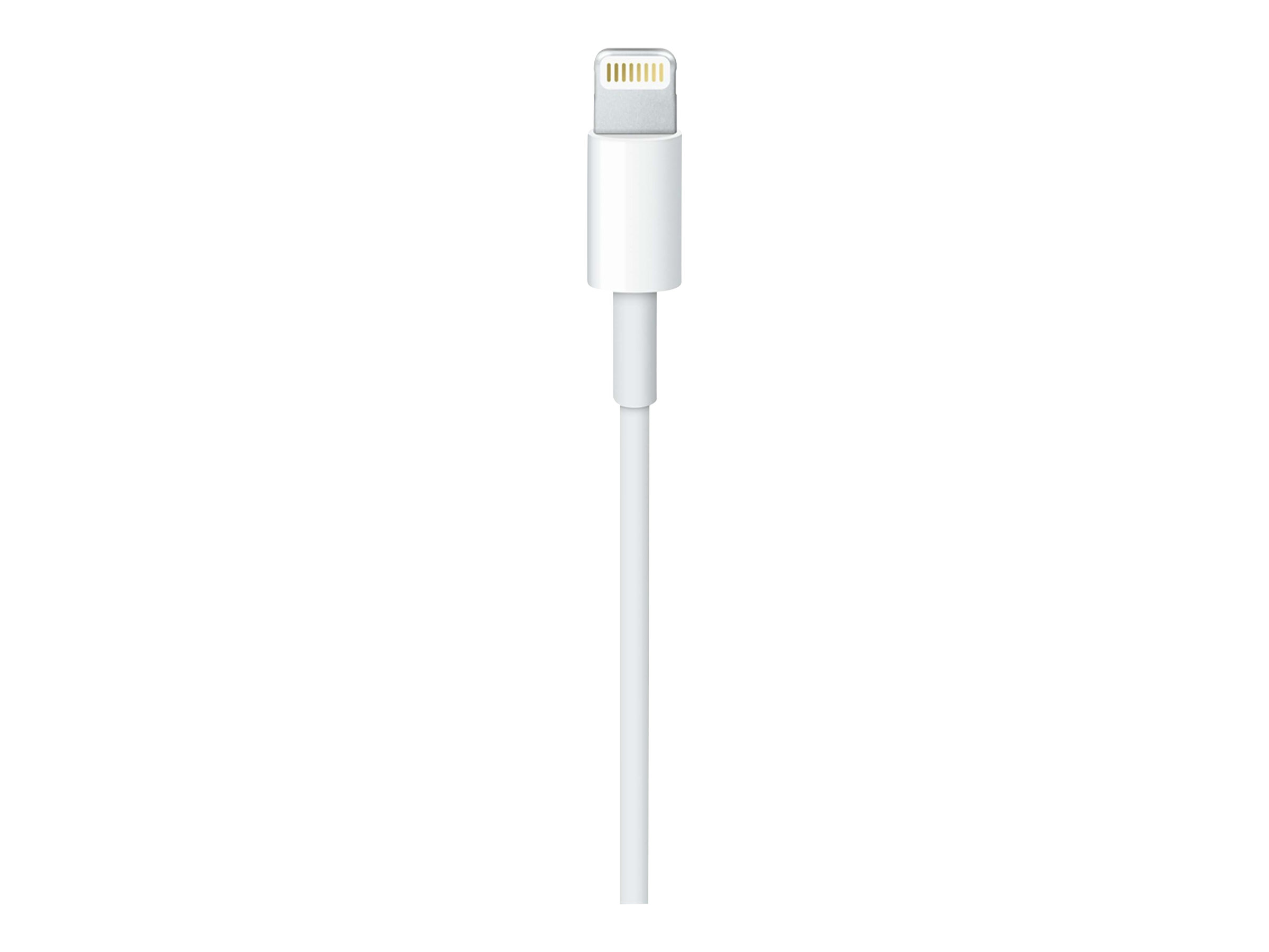 Apple Cable