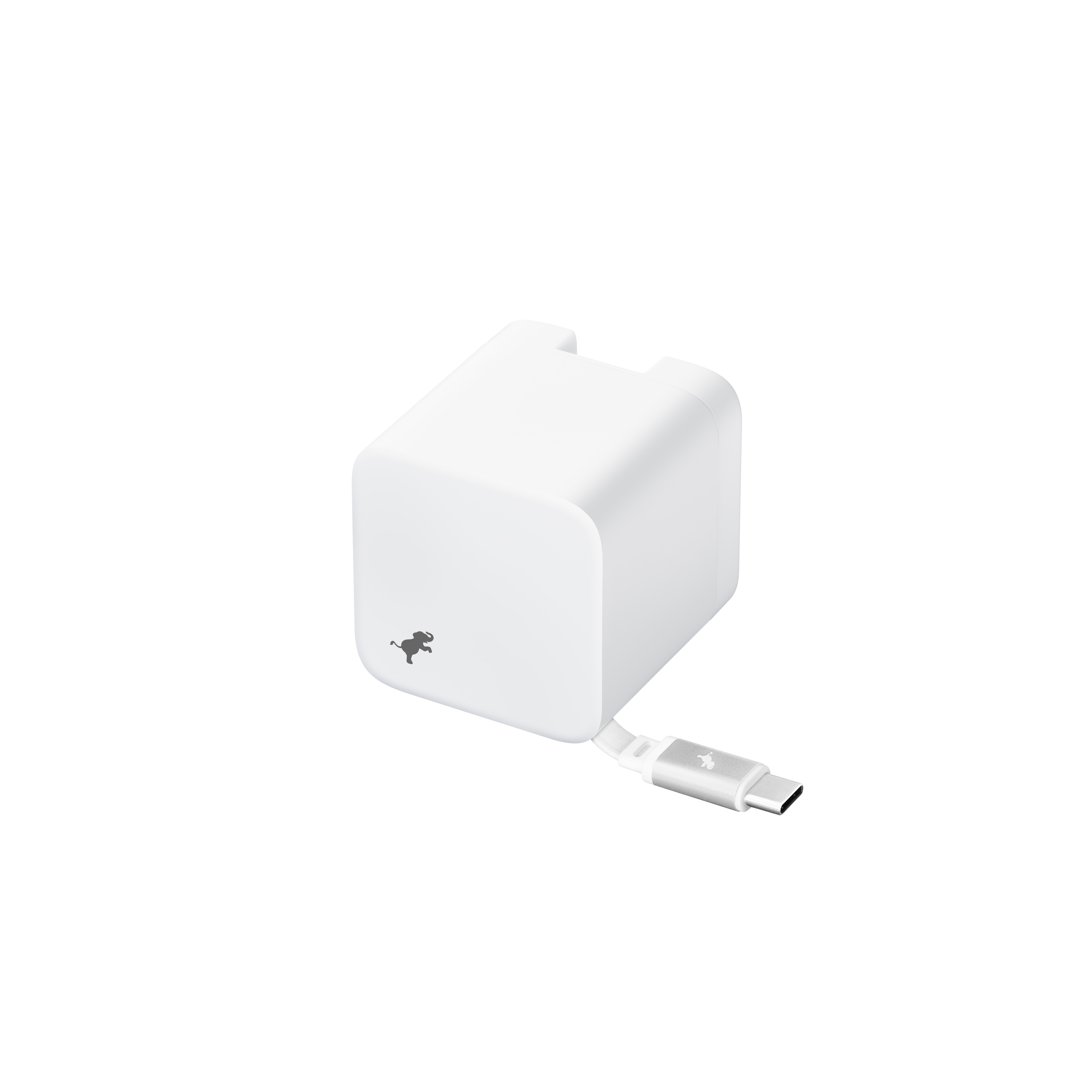 Apple Wall Charger