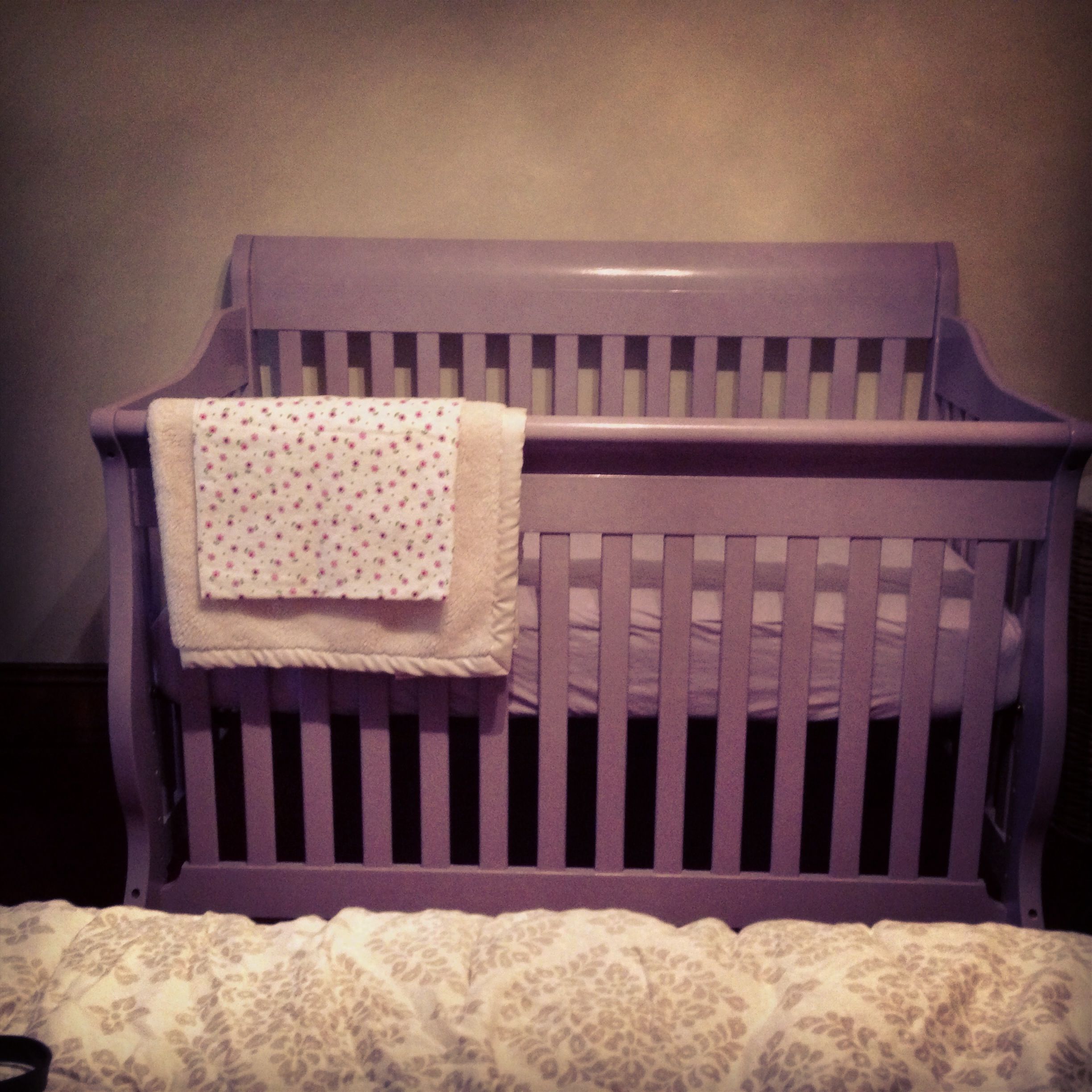 Baby Crib - Purple
