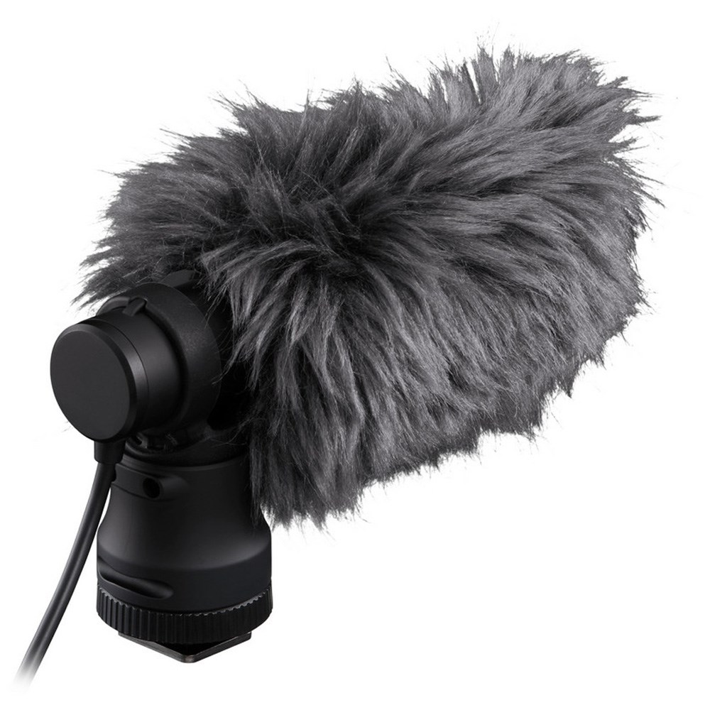 Canon Microphone