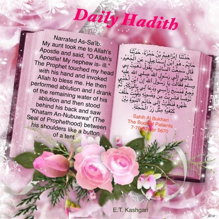 Hadith Book - Pink