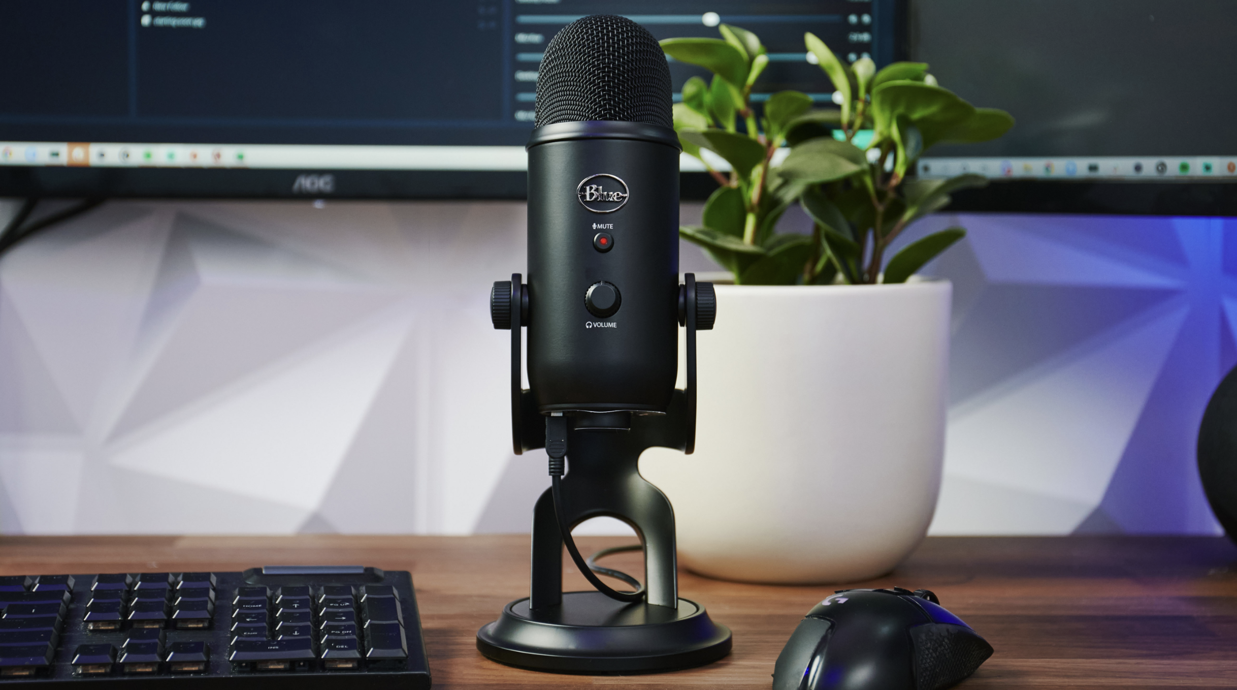 Logitech USB Microphone