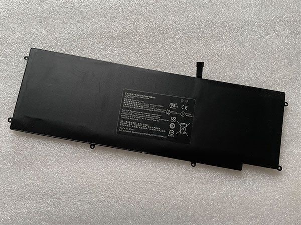 Razer Battery
