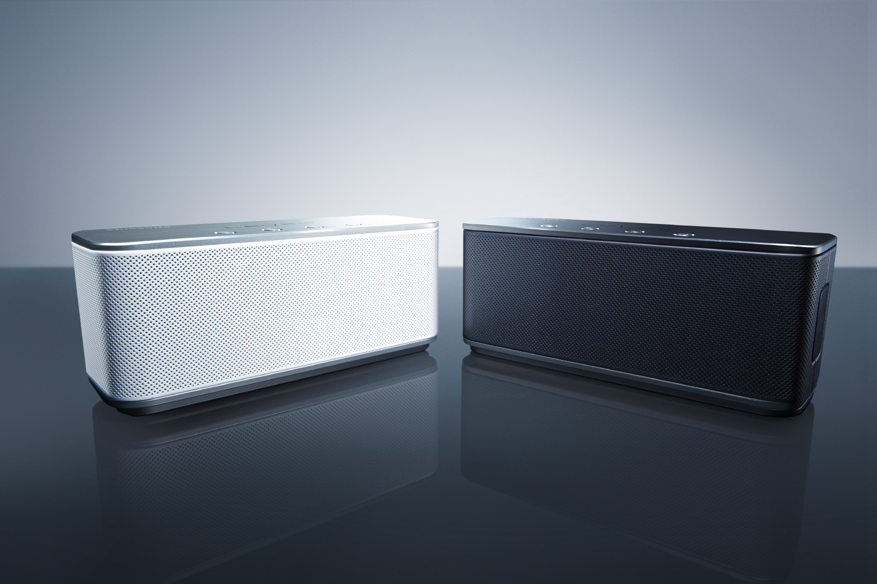 Samsung Portable Speaker