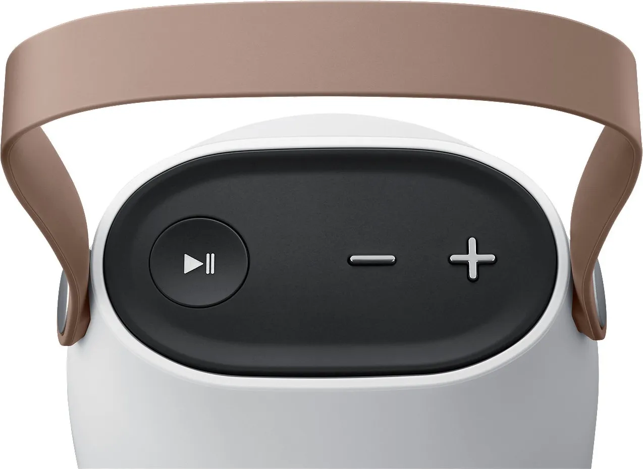 Samsung Portable Speaker