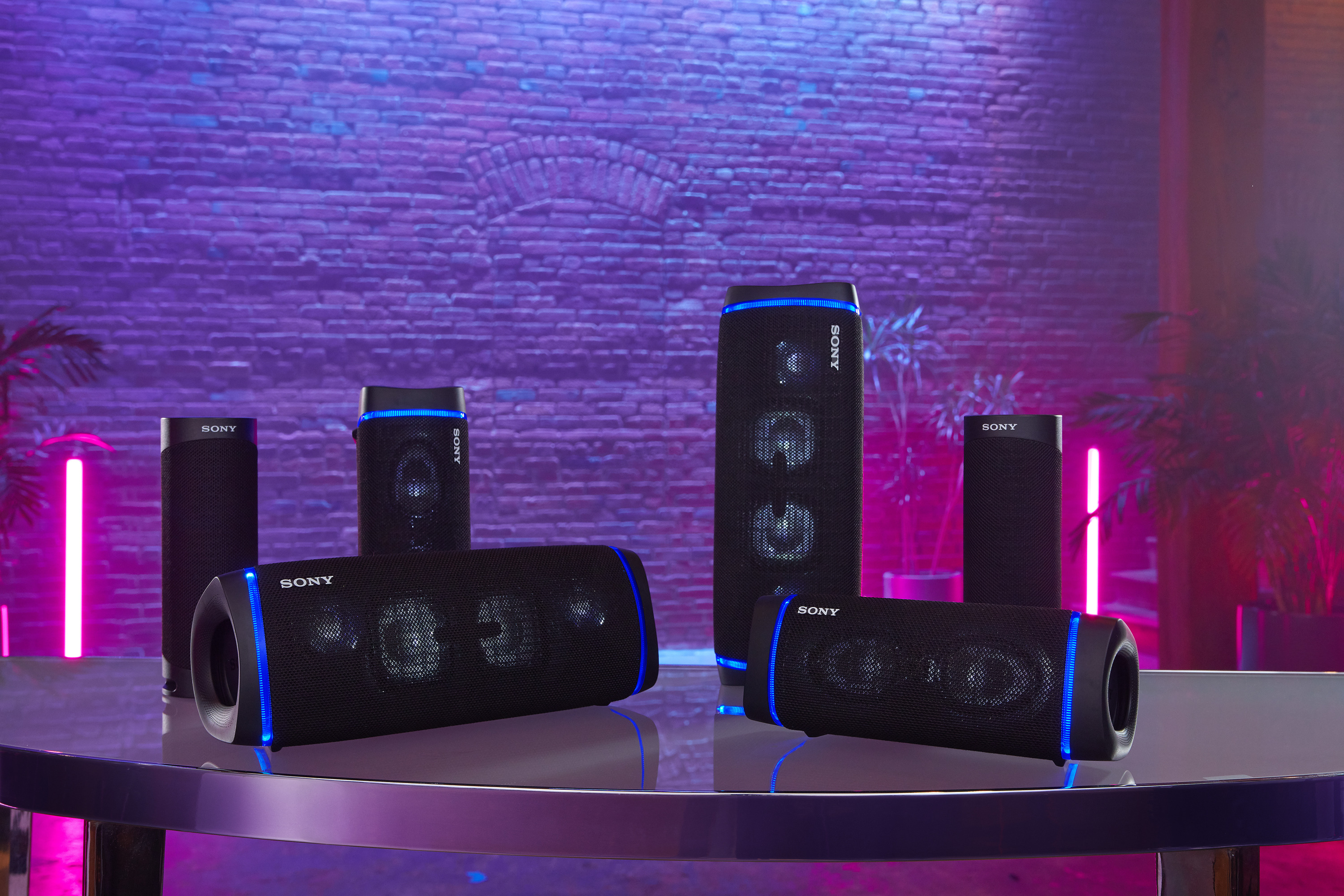 Sony Bluetooth Speaker